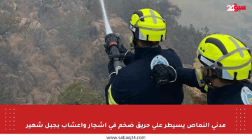 مدني النماص يسيطر على حريق ضخم في أشجار وأعشاب بجبل شهير